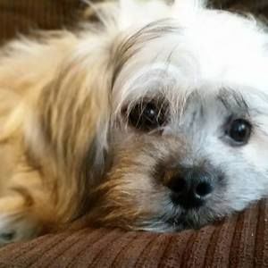 Meet your Posher, Lorraine